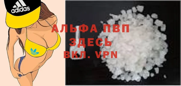 стафф Козельск