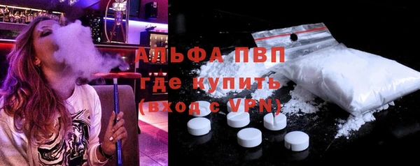 стафф Козельск