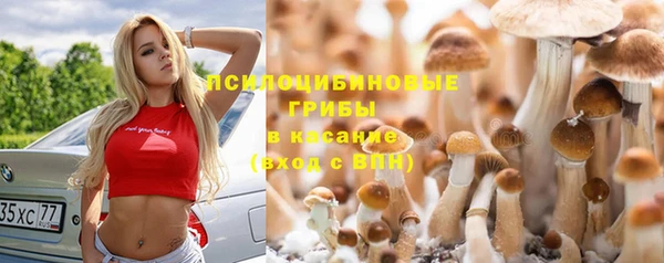 МДПВ Козловка