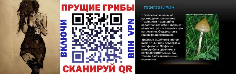 как найти закладки  Петухово  Псилоцибиновые грибы мухоморы 